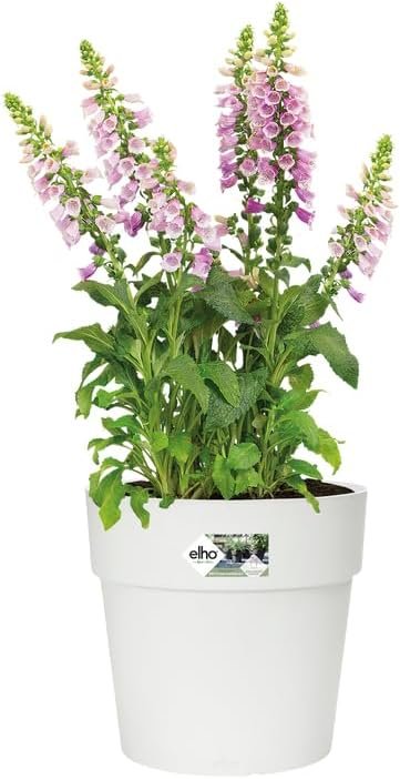 pots fleurs exteriur Elho Vibia Straight Rond 40